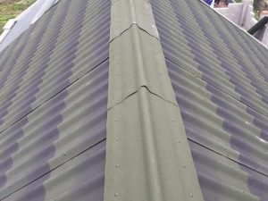 Tole sinh thái Onduline Tile 3D