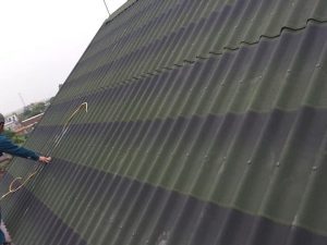 Tole sinh thái Onduline Tile 3D