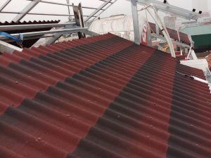 Tole sinh thái Onduline Tile 3D