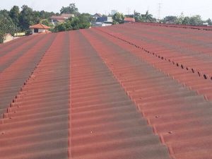 Tole sinh thái Onduline Tile 3D