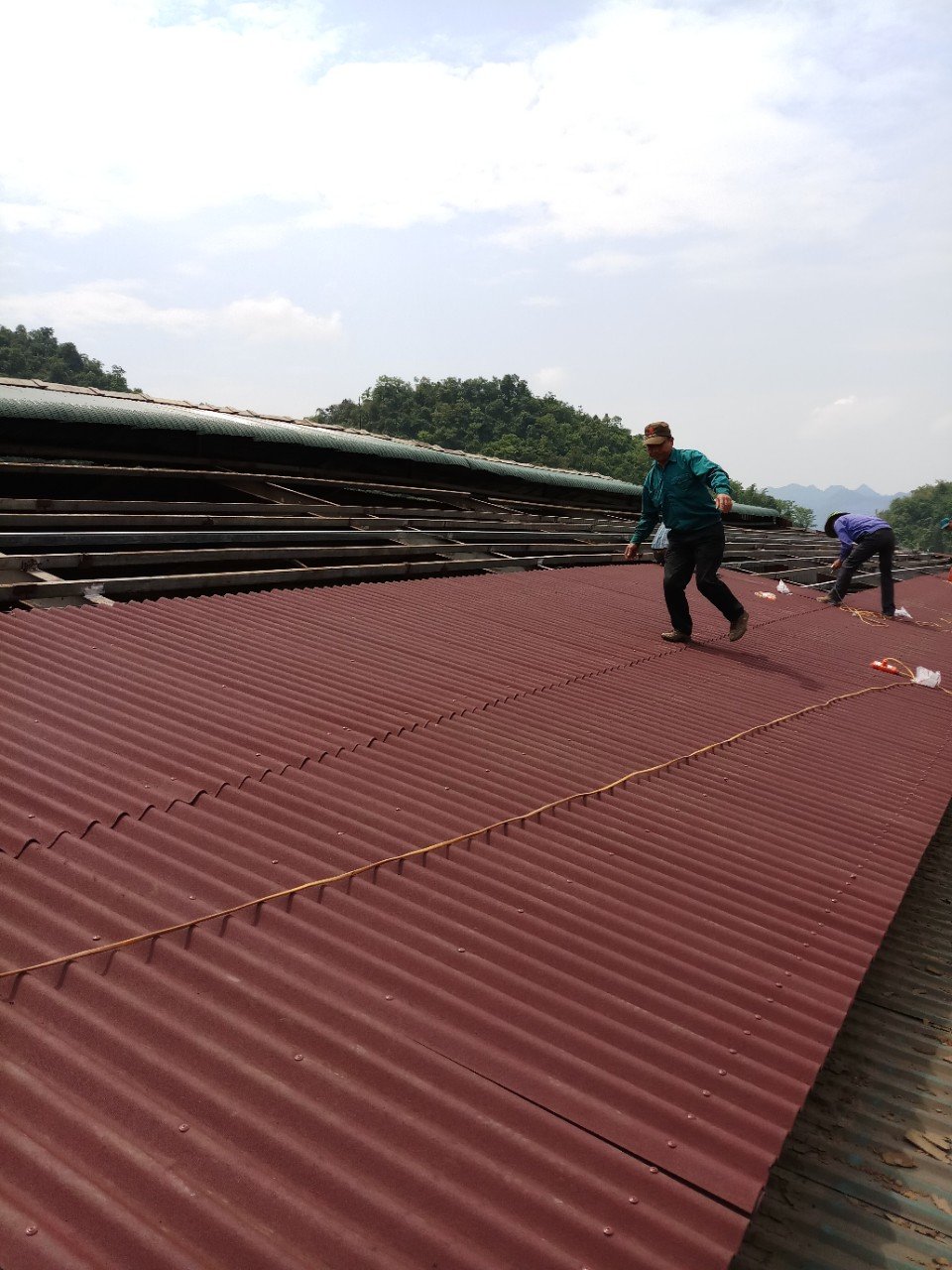 tấm lợp sinh thái - nhà máy chè mộc châu